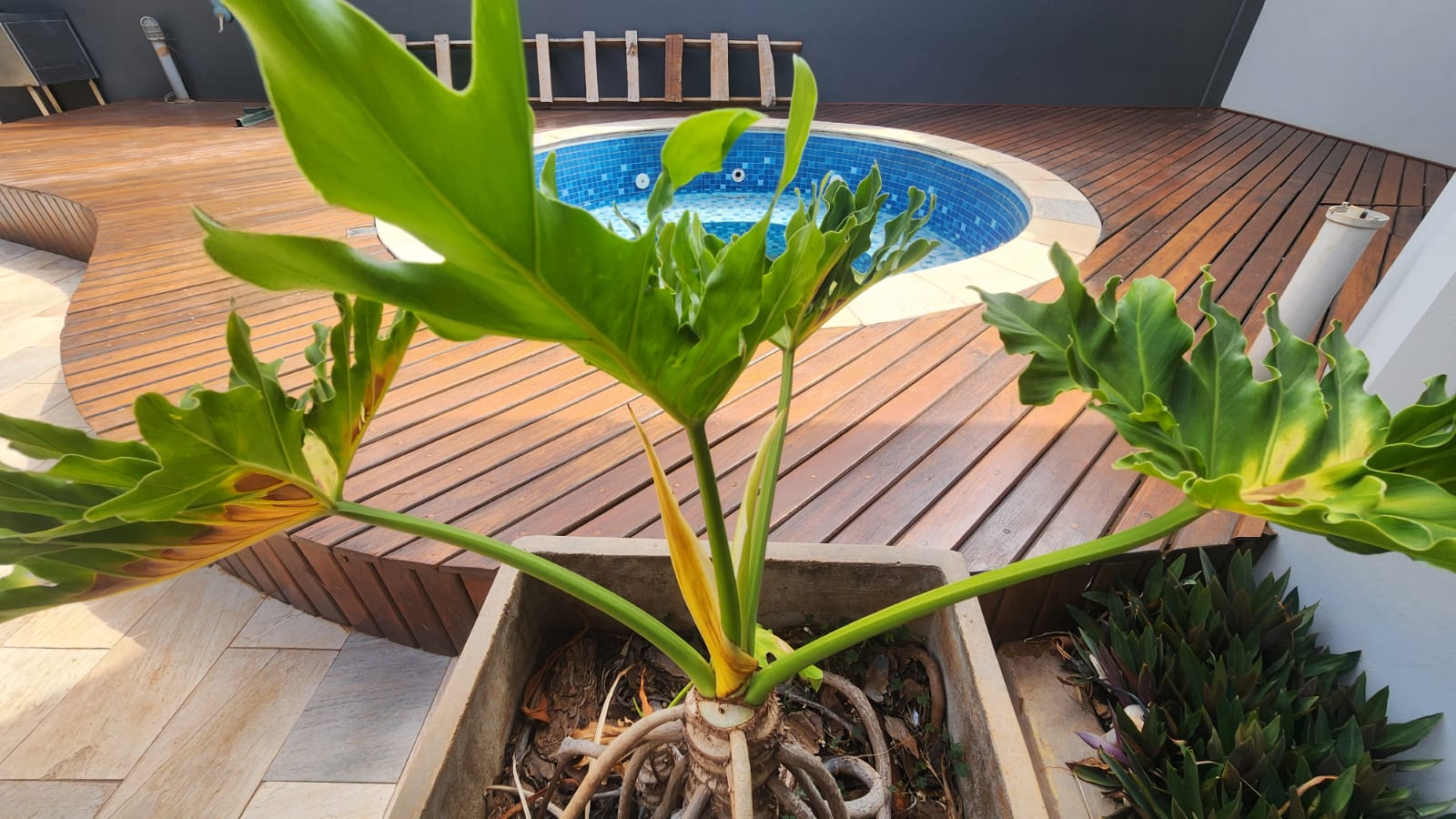 WhatsApp Image 2025-09-26 at 10.45.47 (1)